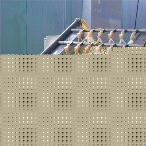 洋槐花市場綜述 價格、品牌廠家與預包裝食品批發指南